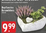 Bepflanztes Keramikherz im Angebot bei EDEKA in Lippstadt Bepflanztes Keramikherz Angebote bei EDEKA Lippstadt für 9,99 €
