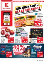 Kaufland Prospekt für Pirmasens mit 40 Seiten Kaufland Prospekt für Pirmasens: "EIN EINKAUF - ALLES ERLEDIGT", 40 Seiten, 15.04.2021 - 21.04.2021