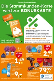 Gräser Angebot & Preis im aktuellen Globus-Baumarkt Prospekt Gräser Angebot im aktuellen Globus-Baumarkt Prospekt auf Seite 16