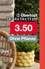 Übertopf für 3,50 € bei Woolworth im Angebot Übertopf im aktuellen Woolworth Prospekt