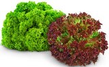 Aktuelles Bunte Salate Angebot bei REWE in Bonn ab 1,11 €