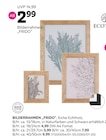 Bilderrahmen "Frido" im Angebot bei mömax in Laatzen Bilderrahmen "Frido" Angebote von Ecotree bei mömax Laatzen für 2,99 €