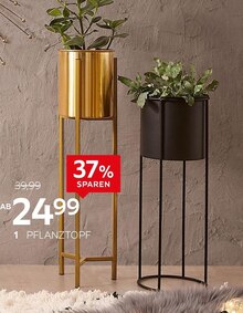 Pflanztopf bei XXXLutz Möbelhäuser in Waiblingen Pflanztopf im Angebot bei XXXLutz Möbelhäuser Waiblingen für 24,99 €