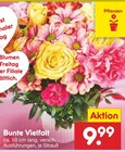 Bunte Vielfalt im Angebot bei Netto Marken-Discount in Krefeld Bunte Vielfalt Angebote bei Netto Marken-Discount Krefeld für 9,99 €