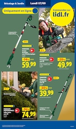 Prix et réduction Taille-Haie dans le prospectus Lidl en cours Offre Taille-Haie dans le catalogue Lidl du moment à la page 9