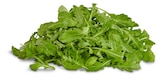 Penny - Deutscher Rucola Angebot im Prospekt Deutscher Rucola bei Penny im Prospekt "" für 0,89 €