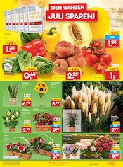 Mixer im Netto Marken-Discount Prospekt in Wolfsburg Aktueller Netto Marken-Discount Prospekt mit Mixer, "Aktuelle Angebote", Seite 19