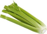 EDEKA Bissendorf - Bio Staudensellerie Angebot im Prospekt Bio Staudensellerie bei EDEKA im Bissendorf Prospekt für 1,99 €