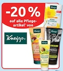 20 % Rabatt von Kneipp bei budni im Angebot 20 % Rabatt von Kneipp im aktuellen budni Prospekt