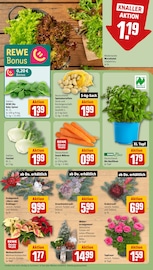 Ähnliche Gartenstühle Angebote im Prospekt "Dein Markt" von REWE in Stralsund Ähnliche Angebote wie Gartenstühle im Prospekt "Dein Markt" auf Seite 7 von REWE in Stralsund