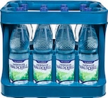 Netto Marken-Discount - Mineralwasser Angebot im Prospekt Mineralwasser bei Netto Marken-Discount im Prospekt "" für 7,29 €