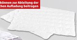 Aktuelle Bettdecke Angebote bei Penny in Paderborn Aktuelles Steppbett mit Carbonfäden Angebot bei Penny in Paderborn ab 14,99 €