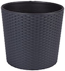 Aktuelle Blumentopf Angebote bei Penny in Hamburg Aktuelles Blumentopf RATO Ø 25 cm Angebot bei Penny in Hamburg ab 7,99 €