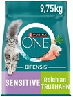 Aktuelles Katzennahrung Angebot bei REWE in Potsdam ab 50,99 €