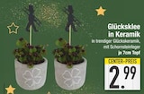 Glücksklee in Keramik im aktuellen EDEKA Prospekt für 2,99 €