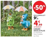Canard sous la pluie dans le catalogue Super U