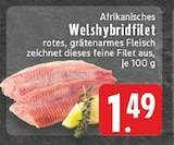 Afrikanisches Welshybridfilet Angebote bei E center Hennef für 1,49 €