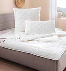 Ganzjahresbett im Angebot bei Segmüller in Frankfurt Ganzjahresbett Angebote von billerbeck bei Segmüller Frankfurt für 19,99 €