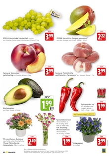 Paprika im EDEKA Prospekt "Aktuelle Angebote" mit 35 Seiten (Freiburg (Breisgau))