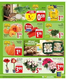 Kartoffeln im EDEKA Prospekt Kartoffeln im EDEKA Prospekt "Wir lieben Lebensmittel." auf Seite 5