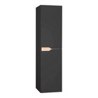 Colonne salle de bain suspendue noire 30x120x30 cm 2 portes effet chêne TOLIMA à Brico Dépôt dans Tourcoing