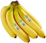 Bio Bananen Angebote von REWE Bio bei REWE Hameln für 1,79 €