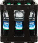 perlend im Angebot bei Netto Marken-Discount in Ravensburg perlend Angebote von Eiszeit Quell bei Netto Marken-Discount Ravensburg für 4,99 €