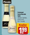 Carta Nevada Sekt im Angebot bei REWE in Regensburg Carta Nevada Sekt Angebote von Freixenet bei REWE Regensburg für 1,99 €