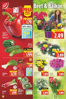 Tomaten im E center Prospekt "Aktuelle Angebote" mit 27 Seiten (Berlin)