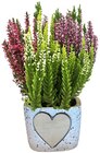 Besenheide »Love« Angebote bei REWE Kaufbeuren für 3,99 €