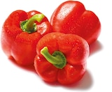Paprika rot bei Netto mit dem Scottie im Prospekt  für 2,22 €