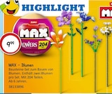 MAX — Blumen von  im aktuellen VEDES Prospekt für 9,99 €