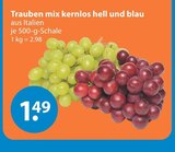Weintrauben im V-Markt Prospekt Trauben mix kernlos hell und blau im aktuellen V-Markt Prospekt für 1,49 €