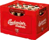 Aktuelles Budweiser Angebot bei Getränke Arena in Essen ab 15,99 €