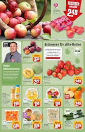 Weißkohl Angebot & Preis im aktuellen REWE Prospekt Weißkohl Angebot im aktuellen REWE Prospekt auf Seite 6