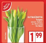 Tulpen von GUT&GÜNSTIG im aktuellen EDEKA Prospekt