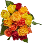 Bouquet de 15 roses arlequin en promo chez Carrefour Rennes à 8,99 €