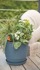 Pot Joy - Botanic Pot Joy à 2,99 € dans le catalogue Botanic