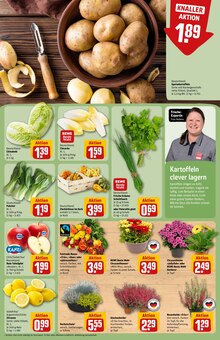 Kartoffeln im REWE Prospekt "Dein Markt" mit 36 Seiten (Chemnitz)