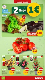 Tomaten im Penny Prospekt "Wer günstig will, muss Penny." mit 38 Seiten (Mainz)