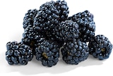 Aktuelle Obst Angebote bei Netto Marken-Discount in Bremen Aktuelles Brombeeren Angebot bei Netto Marken-Discount in Bremen ab 1,49 €
