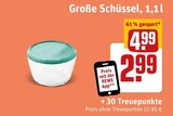 Aktuelles Große Schüssel Angebot bei REWE in Lübeck ab 2,99 €