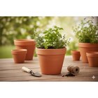 Pots terre cuite à 0,79 € dans le catalogue Carrefour