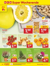 Nüsse im Netto Marken-Discount Prospekt in Koblenz Aktueller Netto Marken-Discount Prospekt mit Nüsse, "Aktuelle Angebote", Seite 38