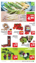 Aktueller Marktkauf Prospekt mit Tomaten, "GANZ GROSS in kleinsten Preisen!", Seite 13