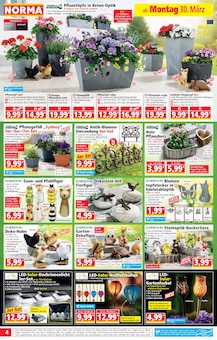 Kühlschrank im Norma Prospekt "Mehr fürs Geld" mit 22 Seiten (Würzburg)