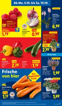 Paprika im aktuellen Lidl Prospekt (Rostock) Paprika im Lidl Prospekt "LIDL LOHNT SICH" mit 69 Seiten (Rostock)