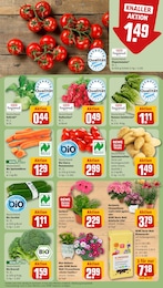 Rüben Angebot & Preis im aktuellen REWE Prospekt Rüben Angebot im aktuellen REWE Prospekt auf Seite 7