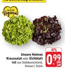 EDEKA Donaueschingen Prospekt mit  im Angebot für 0,99 €