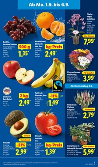 Blumen im aktuellen Lidl Prospekt (Nürnberg) Blumen im Lidl Prospekt "LIDL LOHNT SICH" mit 72 Seiten (Nürnberg)